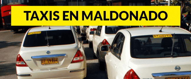 Taxis En Maldonado